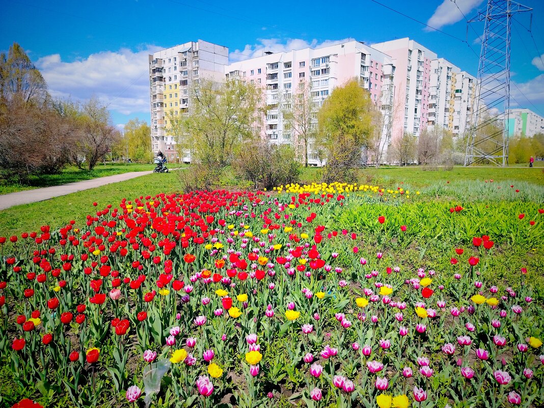 Самара весенняя - Надежда 