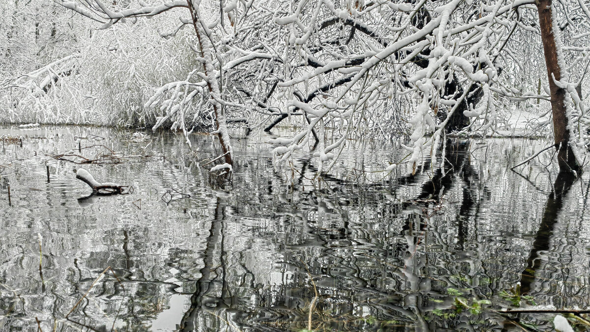 Прозрачность отражений - sorovey Sol