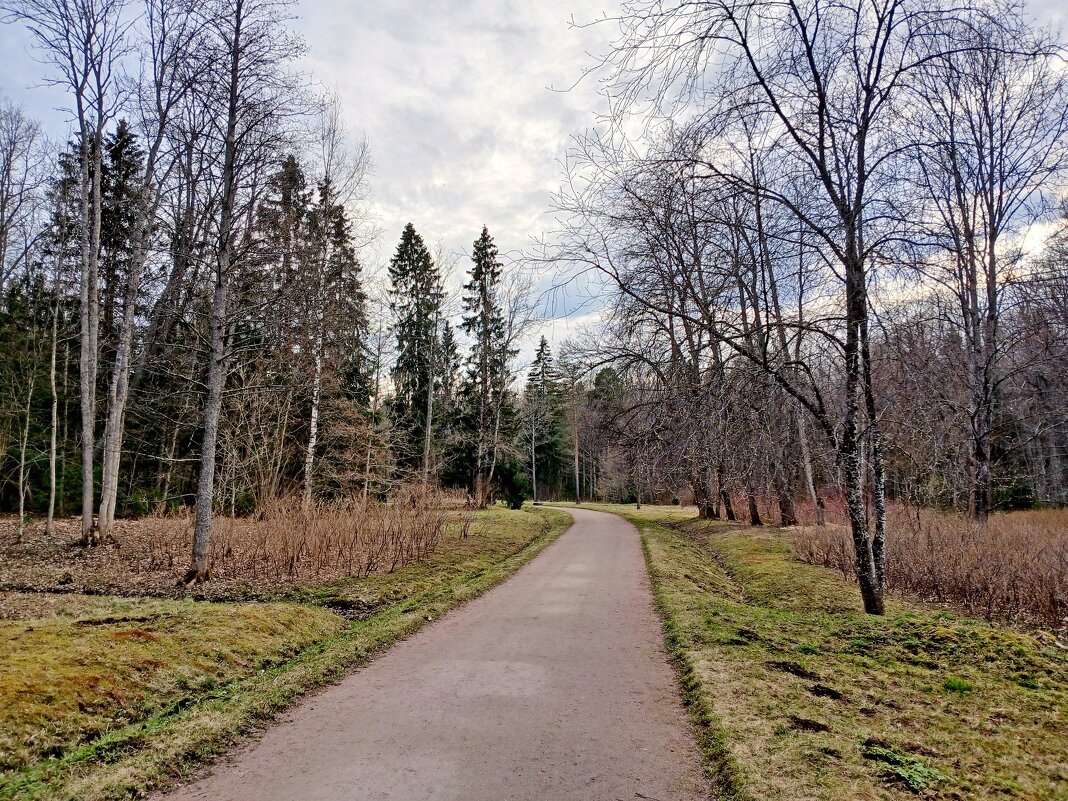 Апрельские пути-дороги - Лия ☼