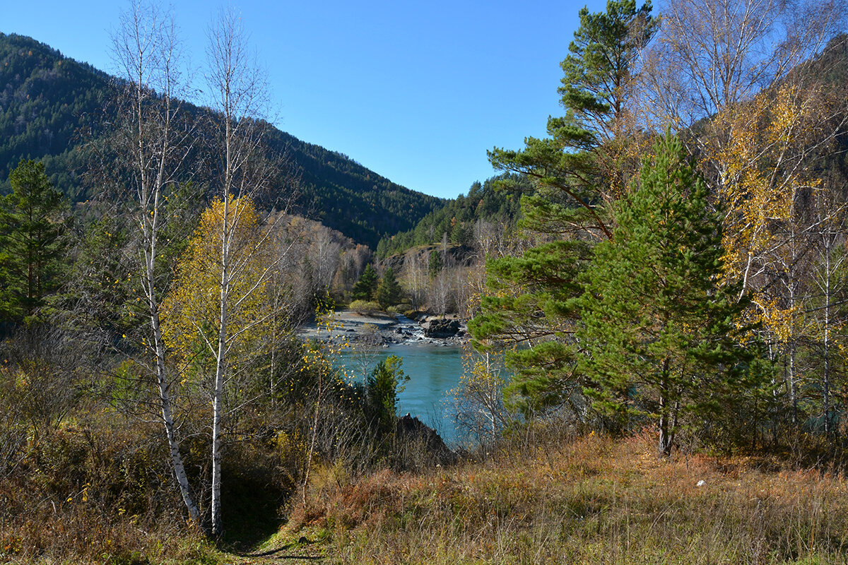 Устье р.Бертка - Валерий Медведев