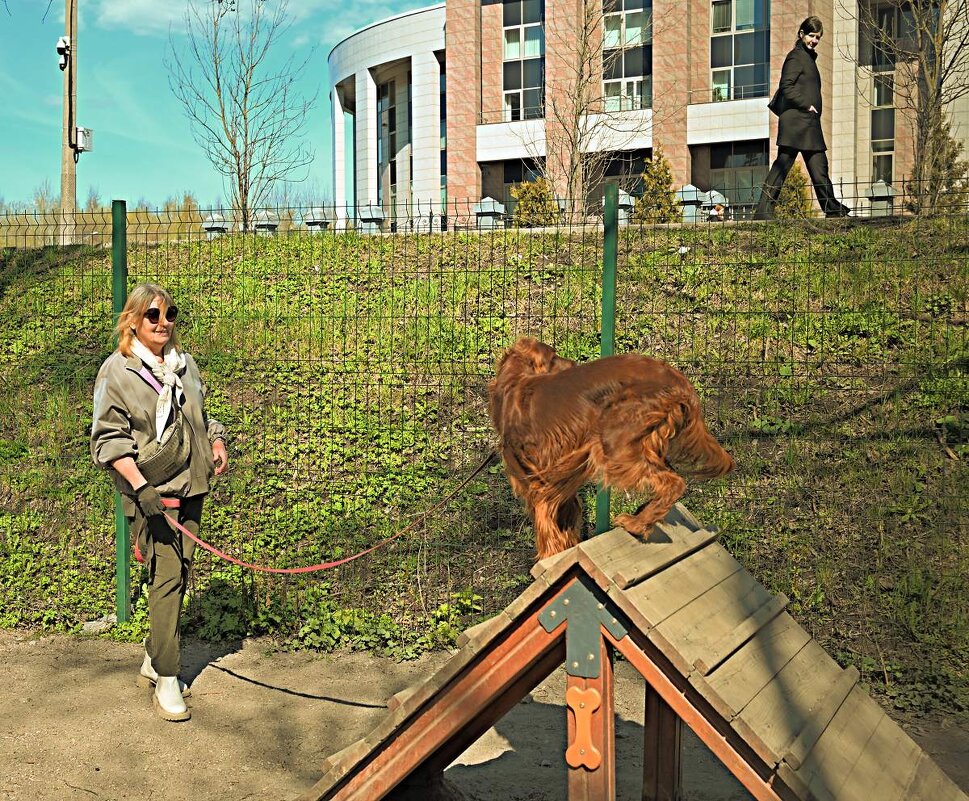 Пожалуйста, в профиль - Юрий Велицкий