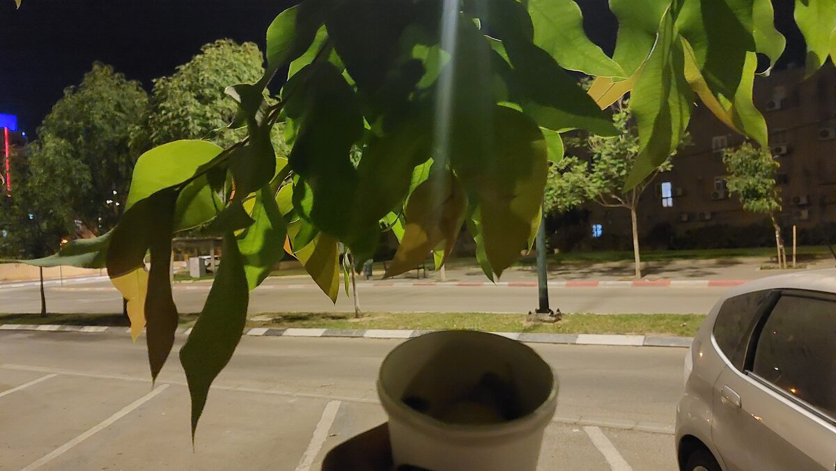 14  КЛОС (176) - CLOSE WAYS ALL