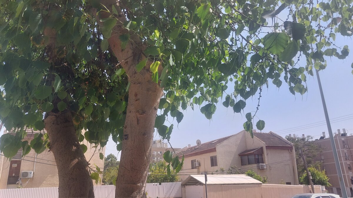 14  КЛОС (180) - CLOSE WAYS ALL