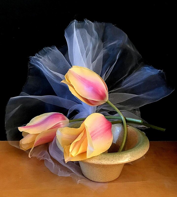 НЕПОКОРНЫЕ.... - TAMARA КАДАНОВА