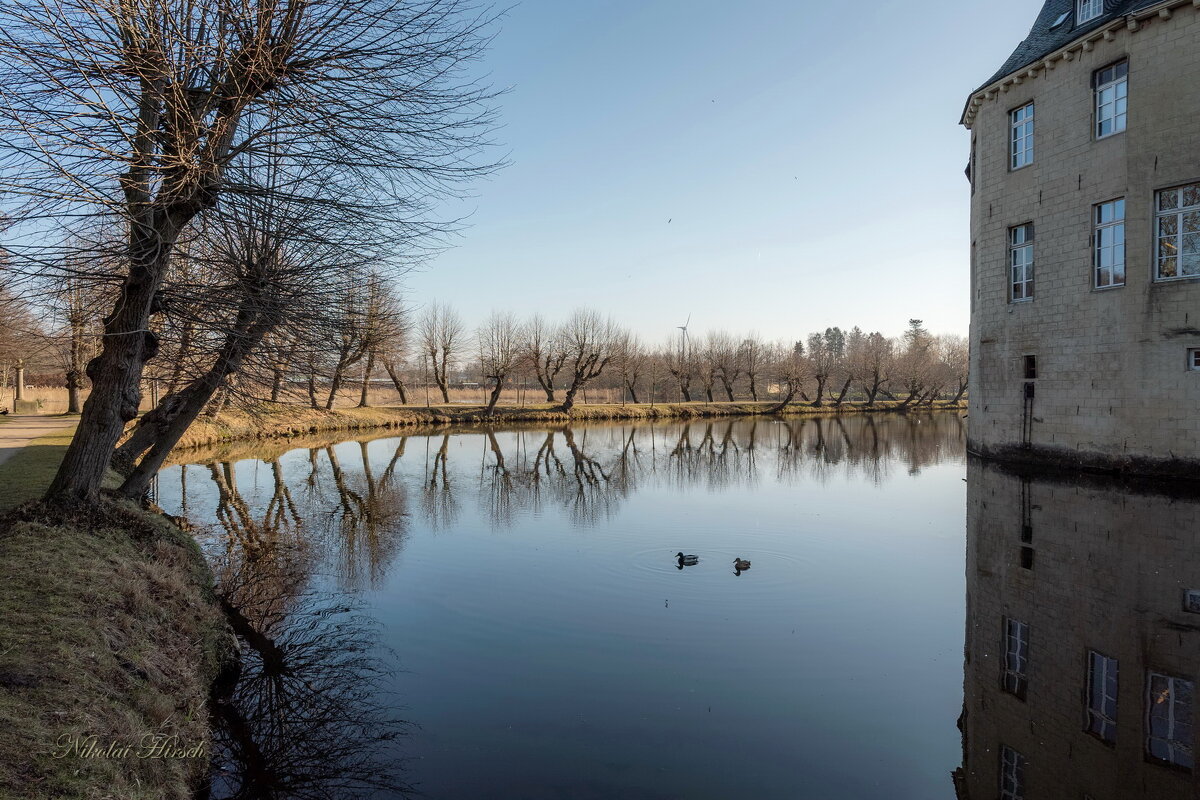 Деревья у замка... - Николай Гирш