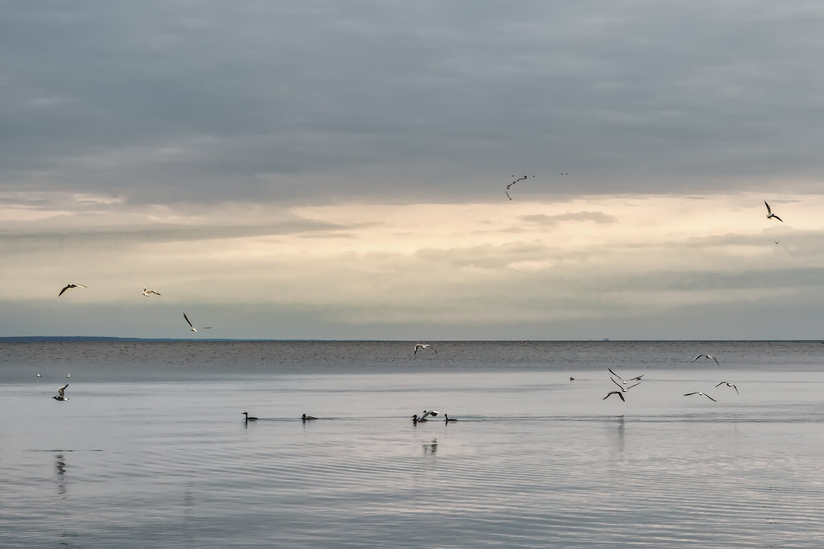 Про Питер - Владимир Колесников