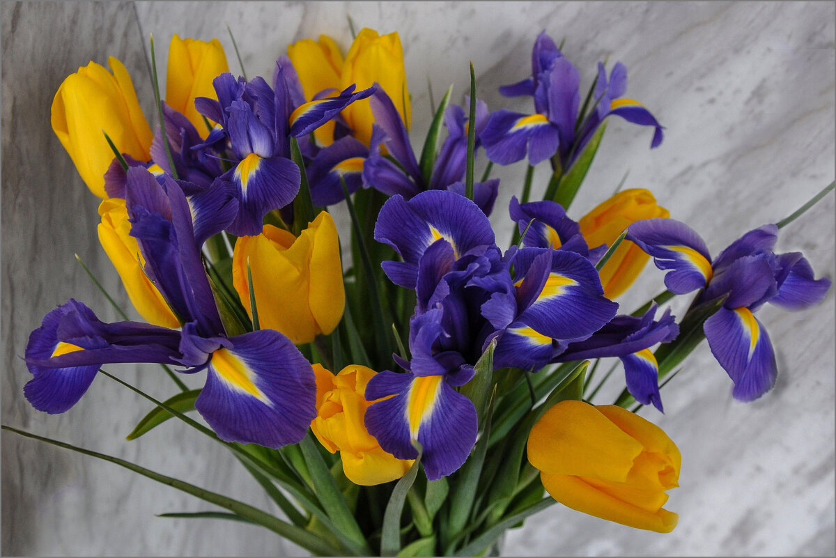 С Первомаем! - Татьяна Машошина