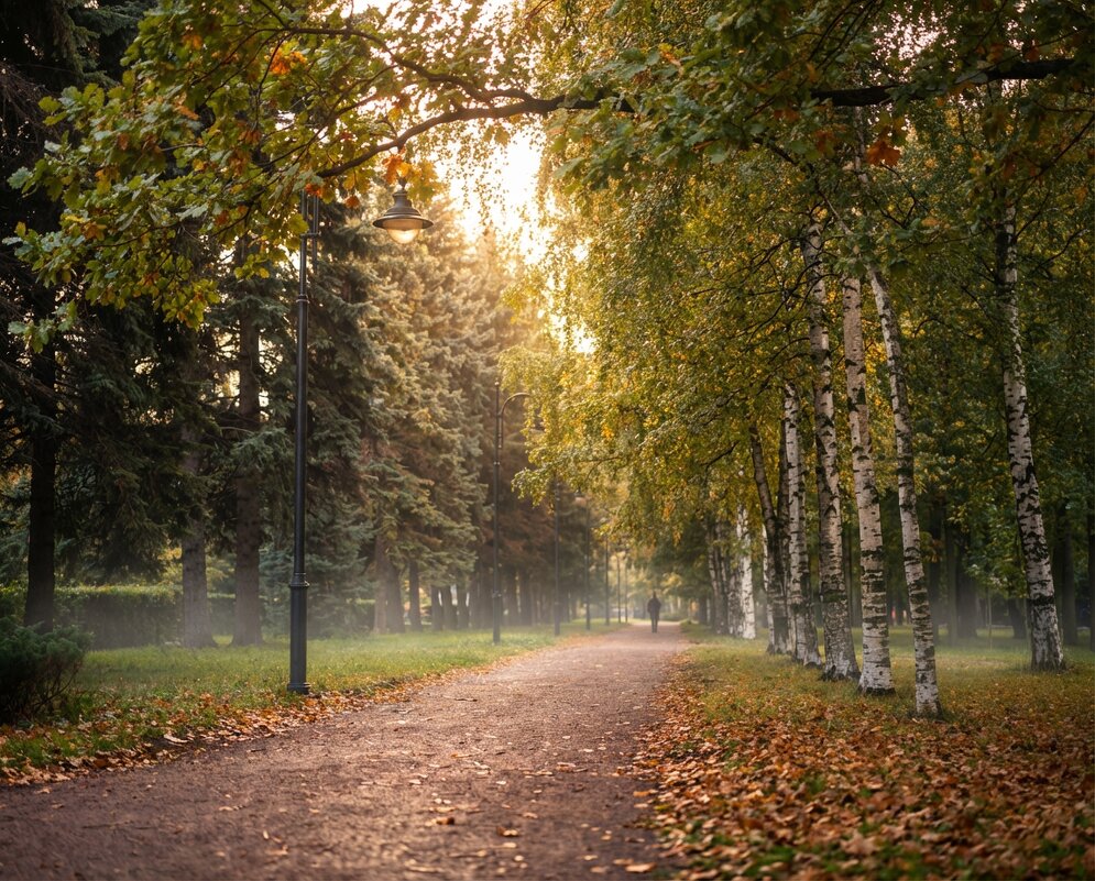 Дорожка в парке - Лилия 