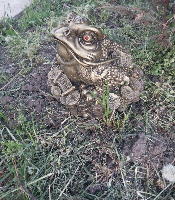 Talgar. - Murat Bukaev 