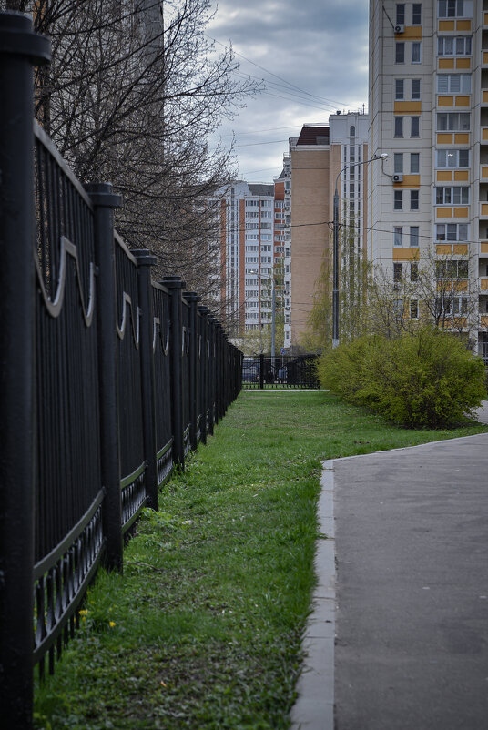Городские высотки - Андрей Шейко
