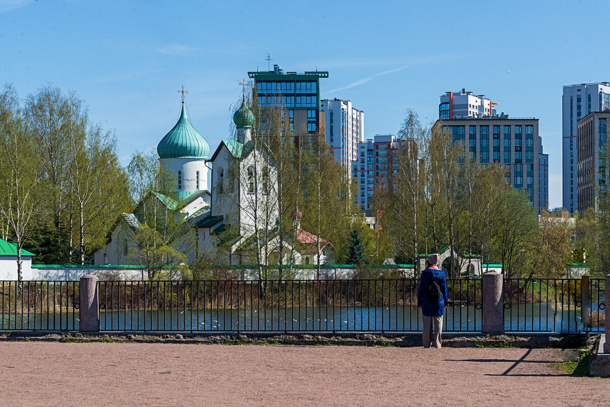 Пулковский парк - Виктор Орехов