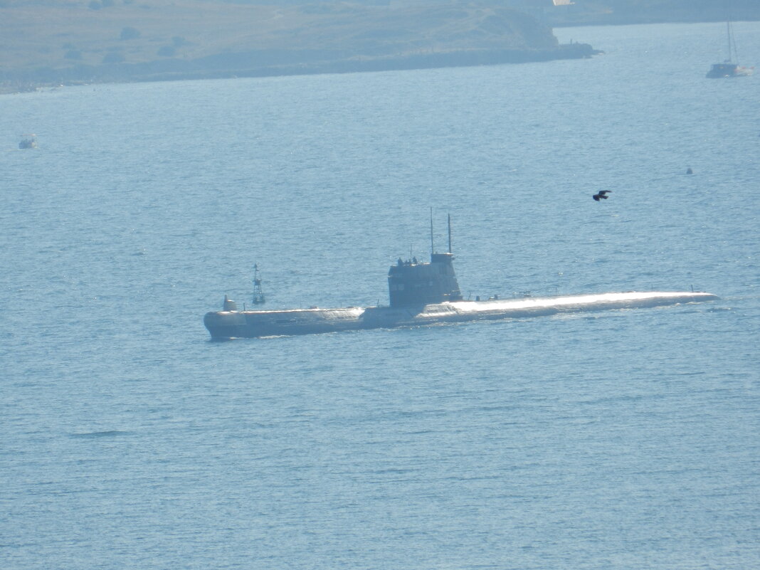 2013 год - Александр 2013 год - Александр