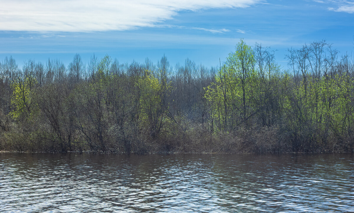 Spring by the full-flowing Bolshoy Puchkas River | 2 - Sergey Sonvar Spring by the full-flowing Bolshoy Puchkas River | 2 - Sergey Sonvar