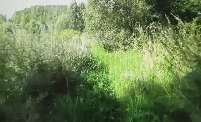 На лужайку ... - Валерий Кокорев На лужайку ... - Валерий Кокорев