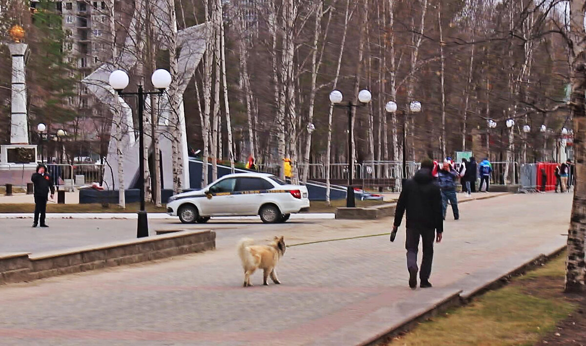 На праздник Победы- с любимой собакой! - Владимир 