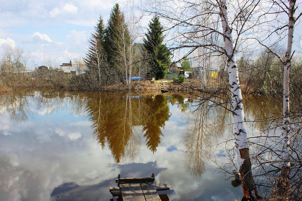 Дачный пейзаж - Галина Нестратова