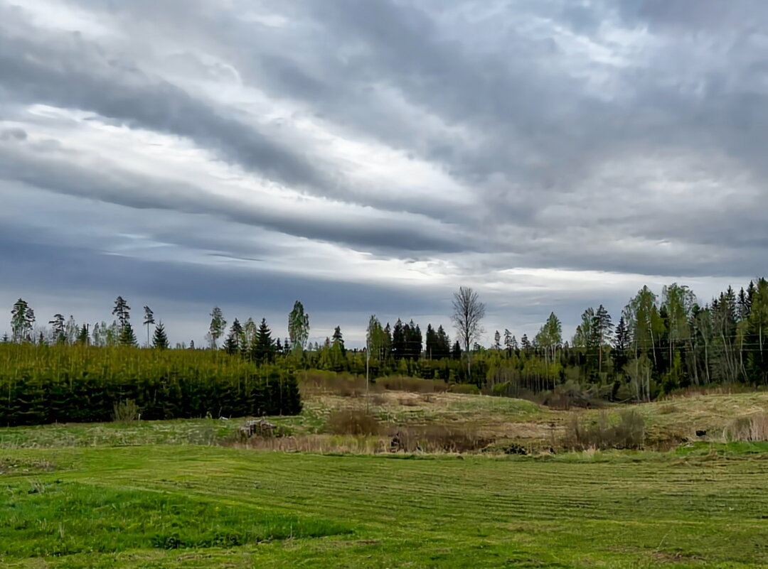 Spring is coming 05-2026 - Arturs Ancans