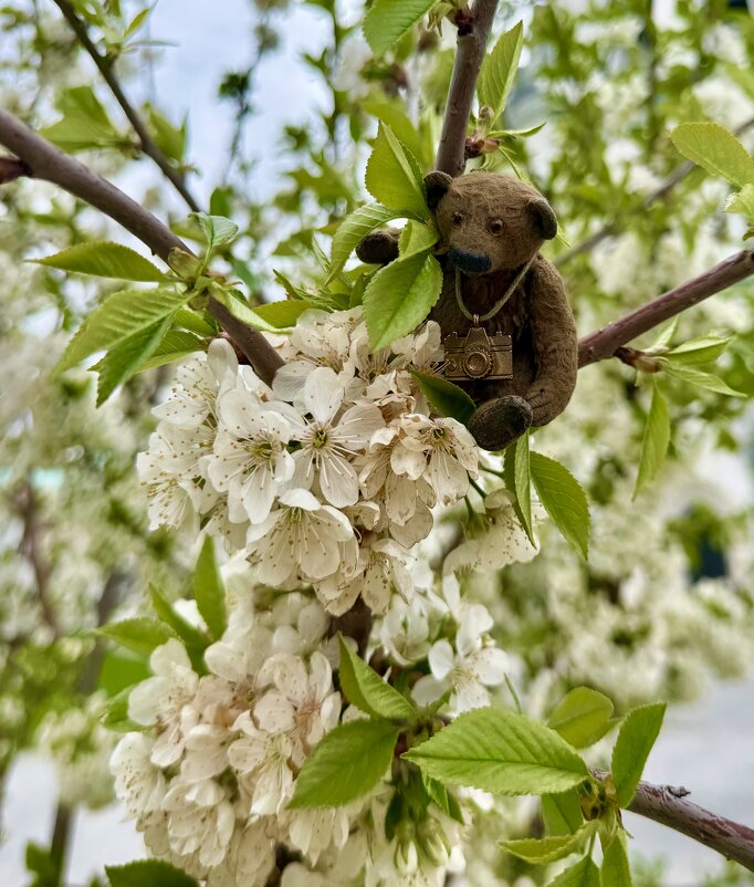 Зацепился за красоту!) - Любовь Зацепился за красоту!) - Любовь