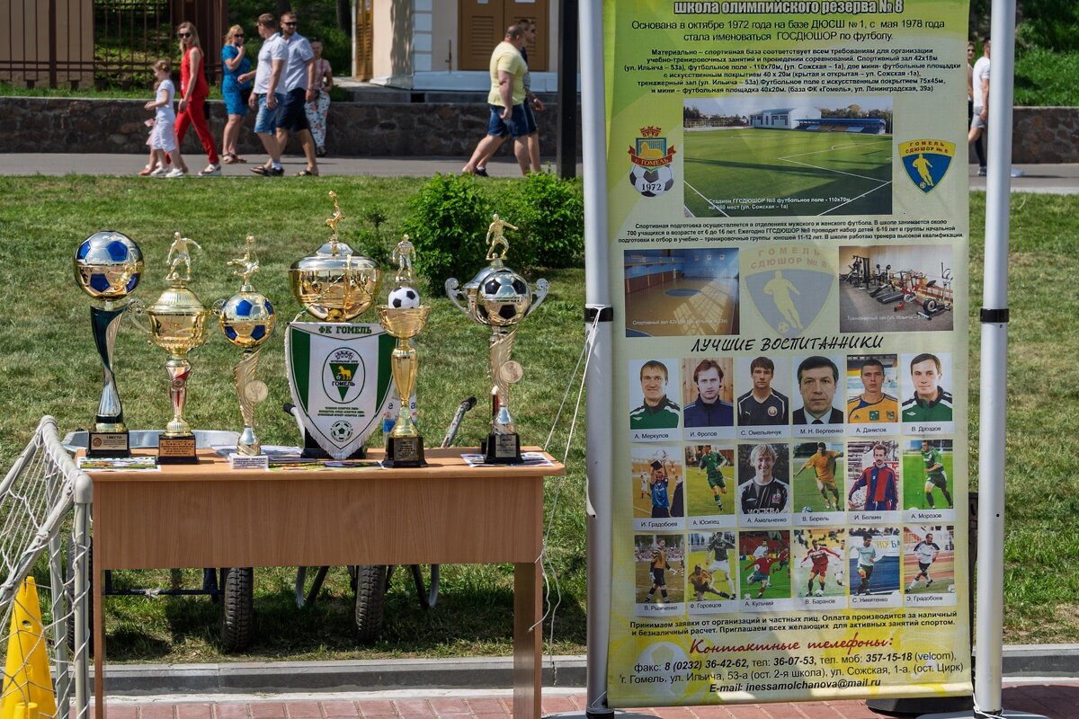 Футбольные достижения в футболе города Гомель - Игорь Сикорский