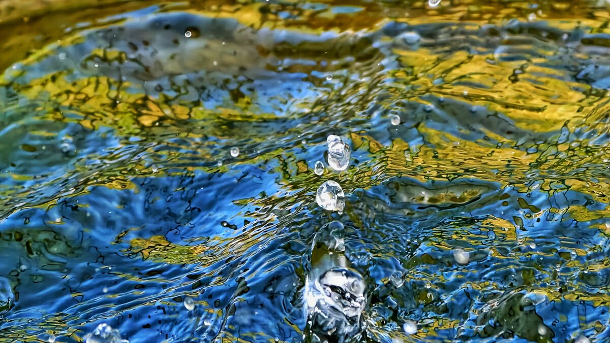 Живая вода - Мариша Тим