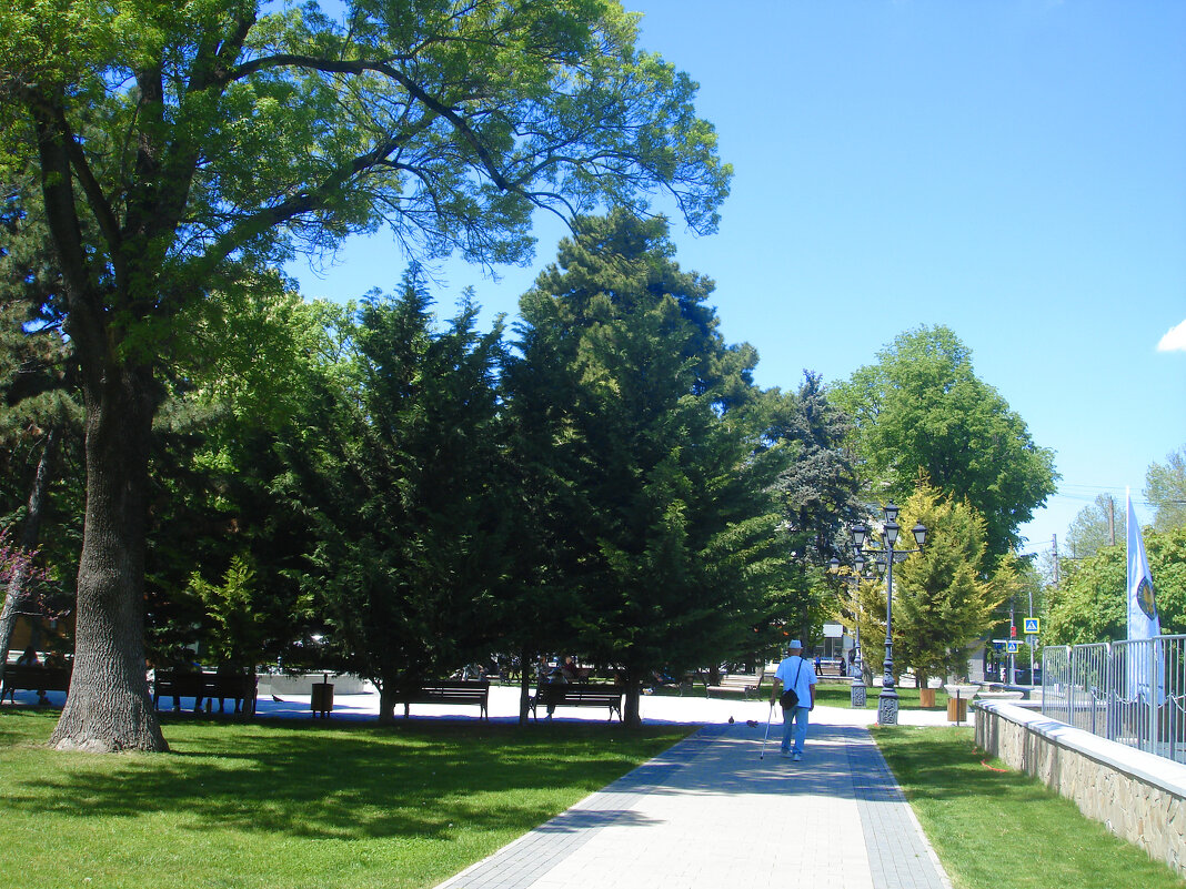 Весенний парк  Тренёва - Валентин Семчишин