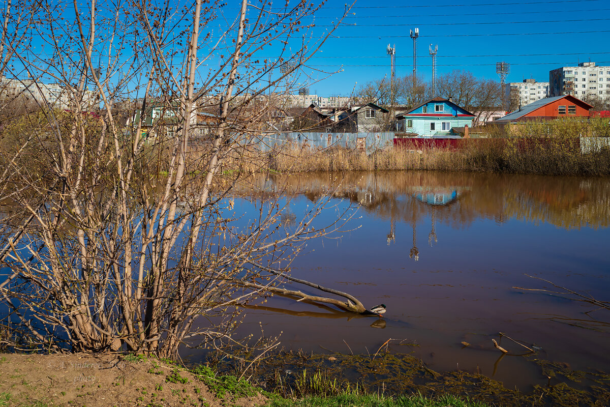 На берегу городской речки - Александр Синдерёв