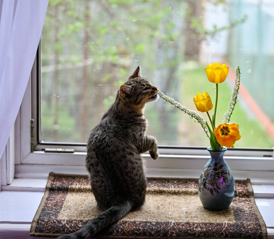 * - Вадим 