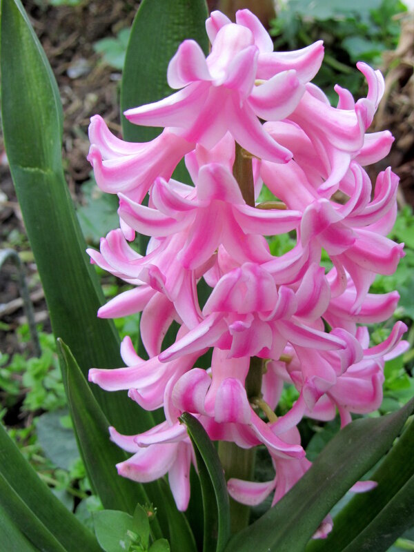 В парке Дендрарий - Валерий 