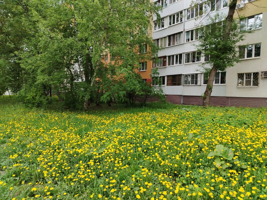 Самара - Надежда 
