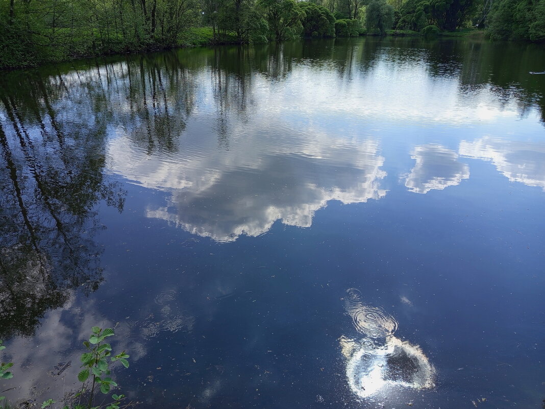 * * * - Андрей Лукьянов