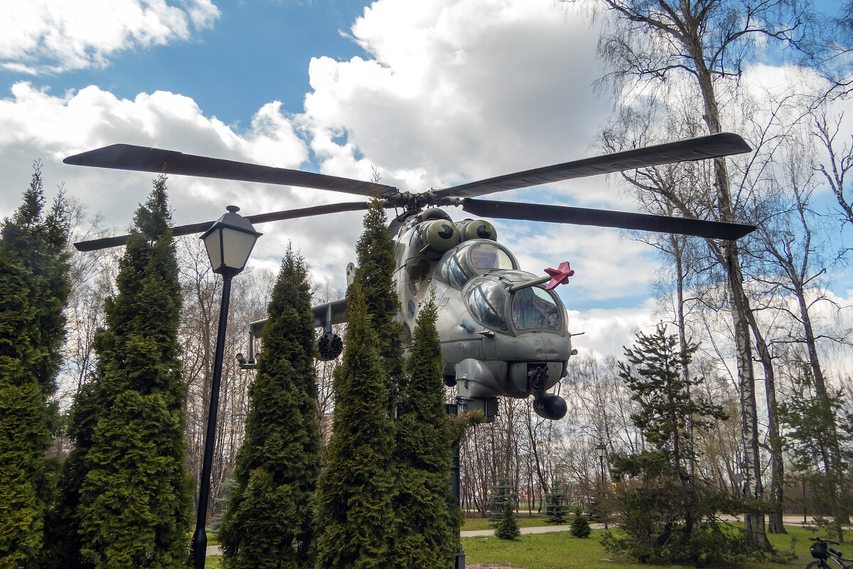 В парке Новомосковска - Сергей Цветков