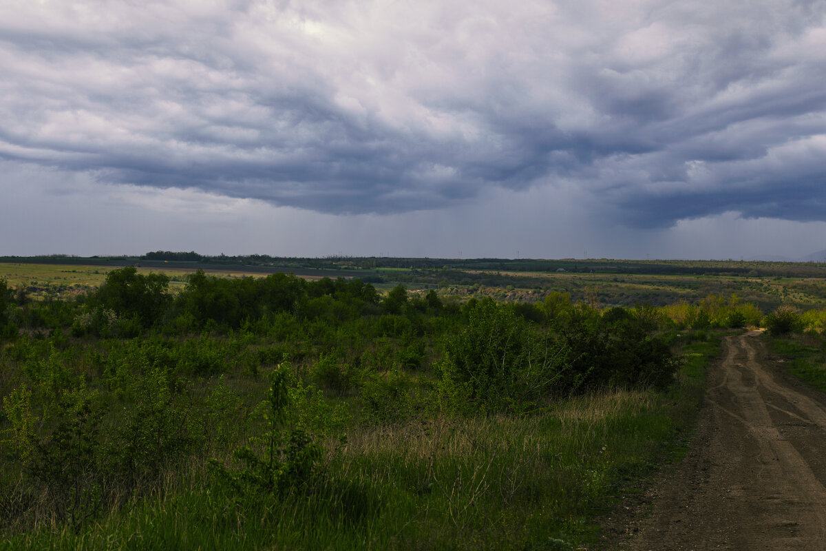 *** - Яна Горбунова