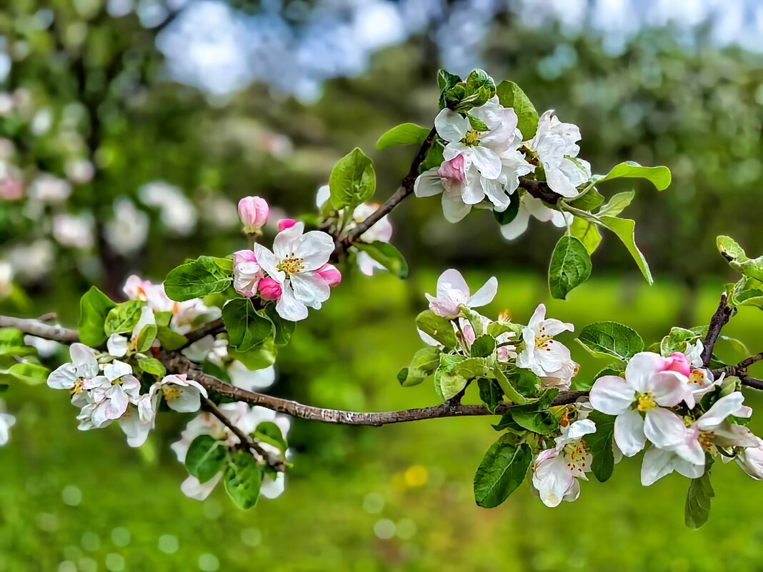 Spring is coming 05-2026 8 - Arturs Ancans