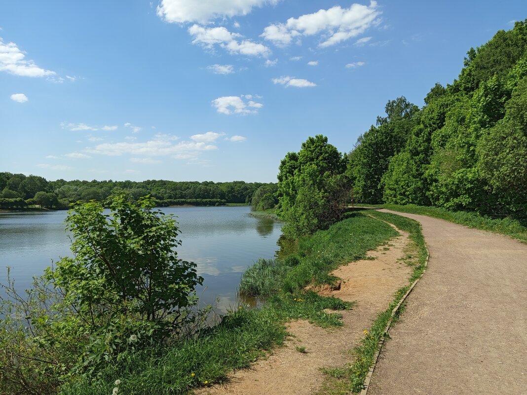 * * * - Андрей Лукьянов