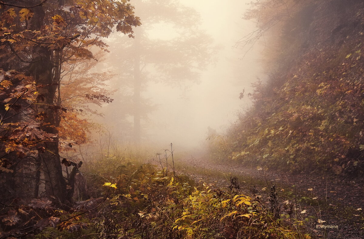 autumn - Elena Wymann autumn - Elena Wymann
