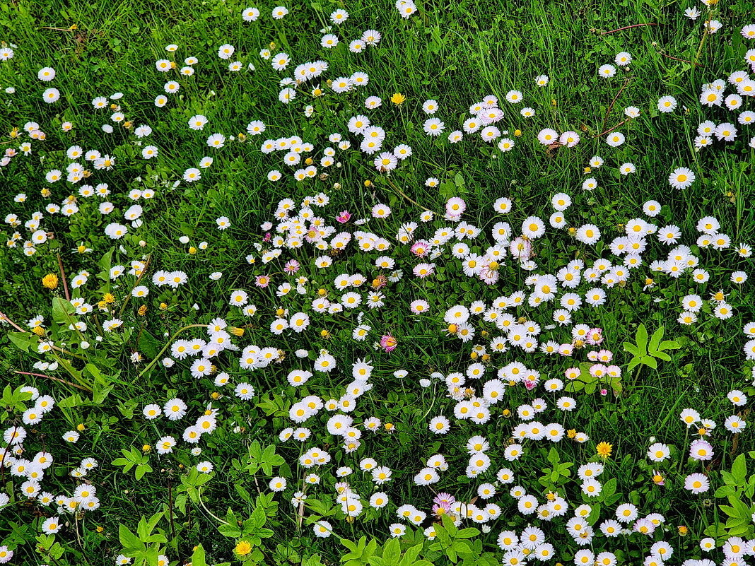 Spring is coming 05-2026 10 - Arturs Ancans