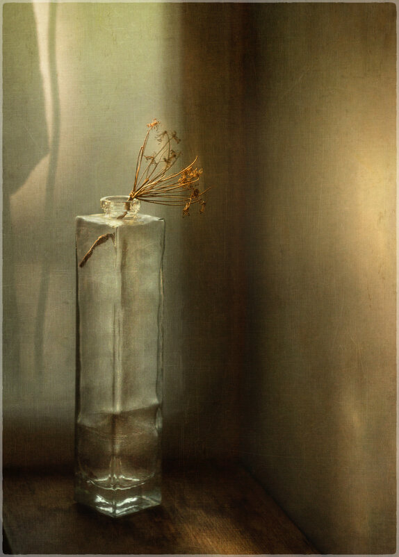 *-* - Oleg Rastorguev *-* - Oleg Rastorguev