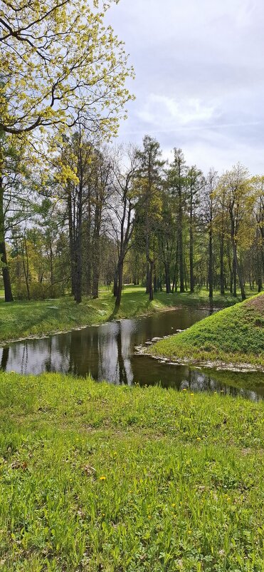 Весна в парке - Хватова Марина Весна в парке - Хватова Марина