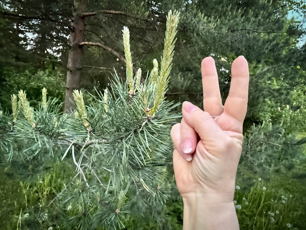 Ассоциация) - Любовь 
