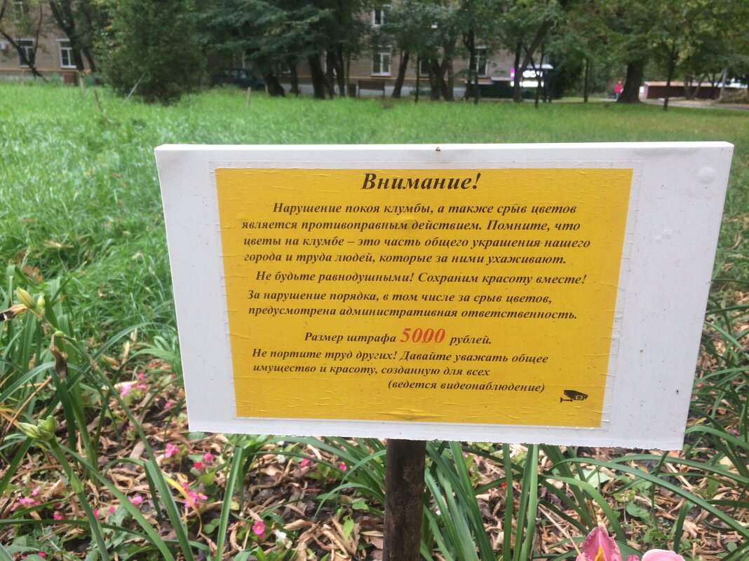 Эмоциональное воззвание к согражданам ) - Галина Эмоциональное воззвание к согражданам ) - Галина