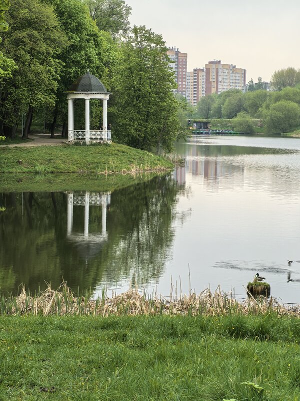 Белкинский парк - Галина Морозкина