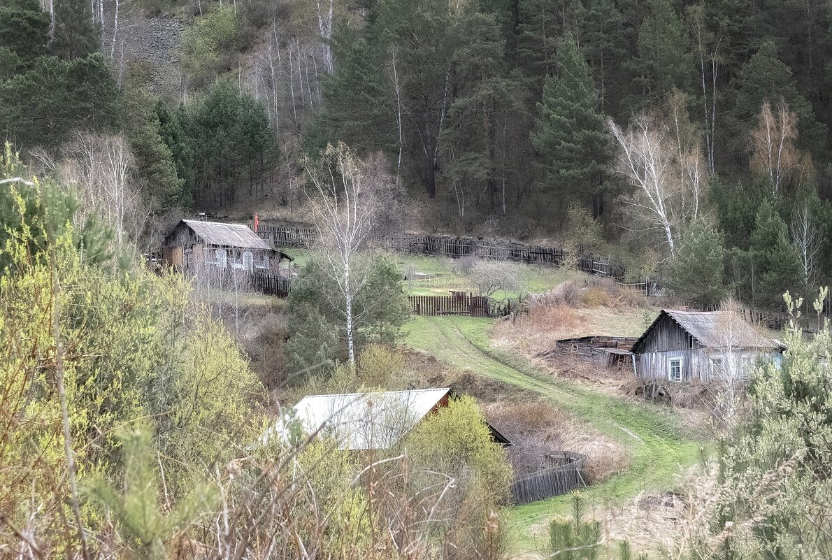Сибирская глубинка - Марина Фомина. Сибирская глубинка - Марина Фомина.