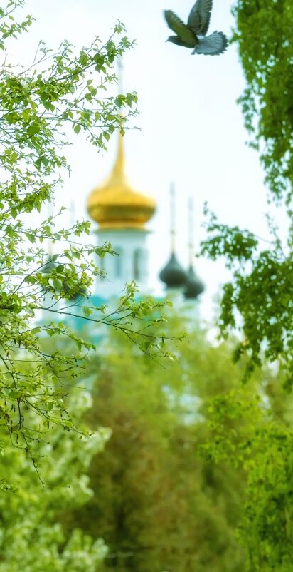 БЛАГОдать - Леонид Абросимов