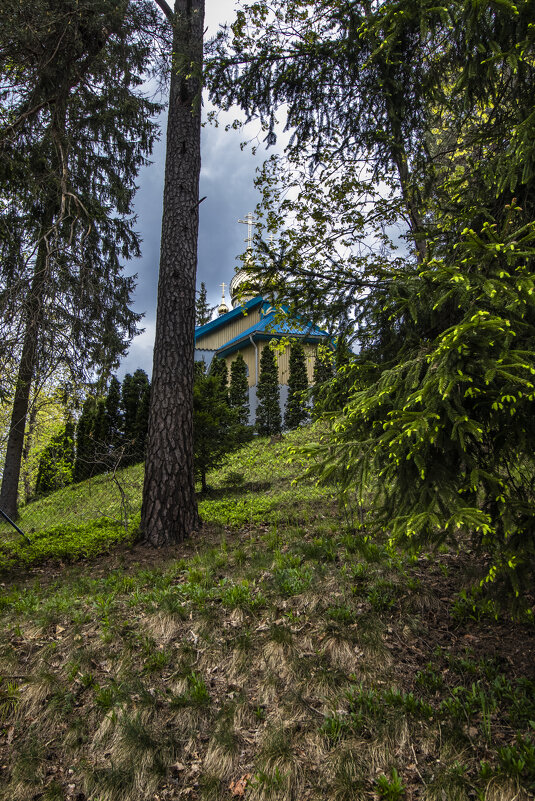 *** - Николай 
