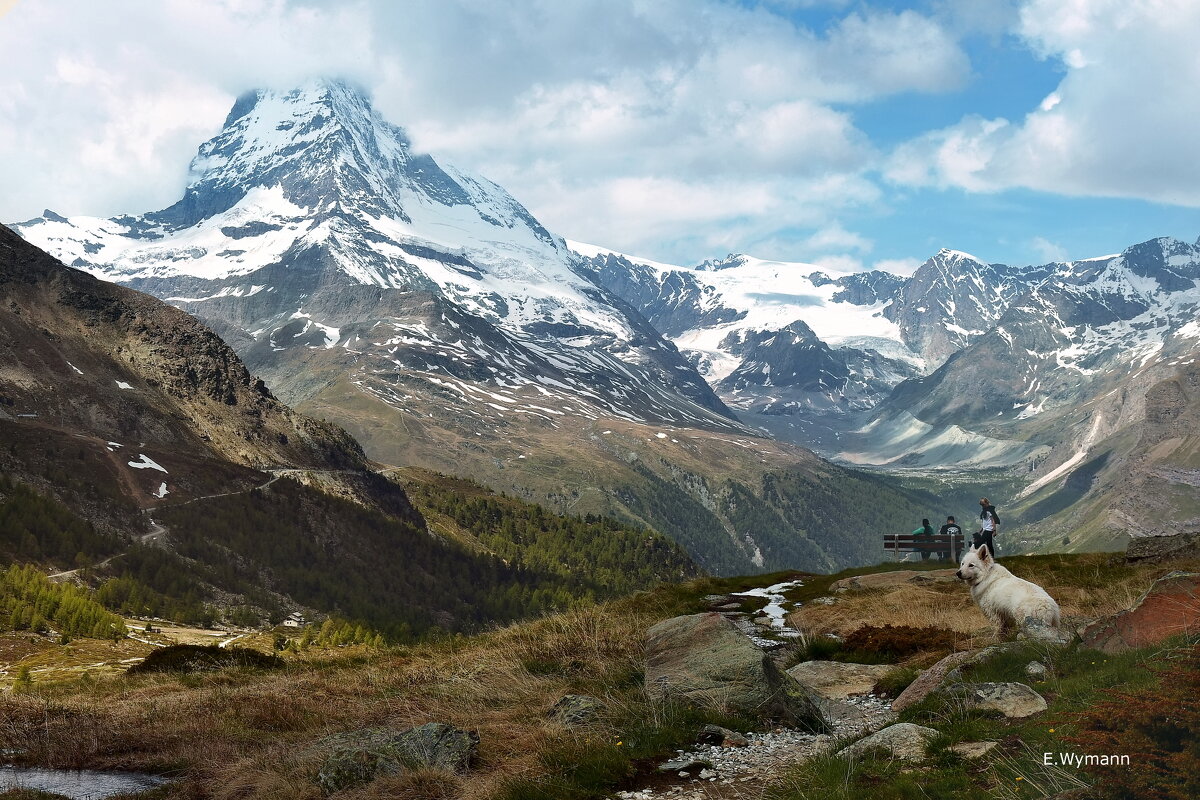 das Matterhorn - Elena Wymann das Matterhorn - Elena Wymann