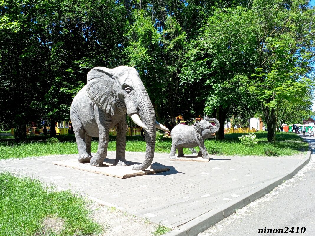В ростовском зоопарке - Нина Бутко