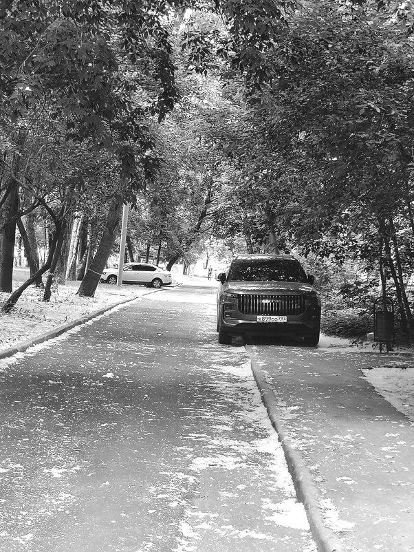 Московский двор. Июнь. - Любимова Ольга Московский двор. Июнь. - Любимова Ольга