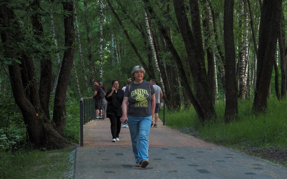 Прогулки в Летнем Парке - юрий поляков Прогулки в Летнем Парке - юрий поляков