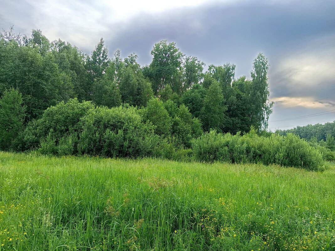 * * * - Андрей Лукьянов * * * - Андрей Лукьянов