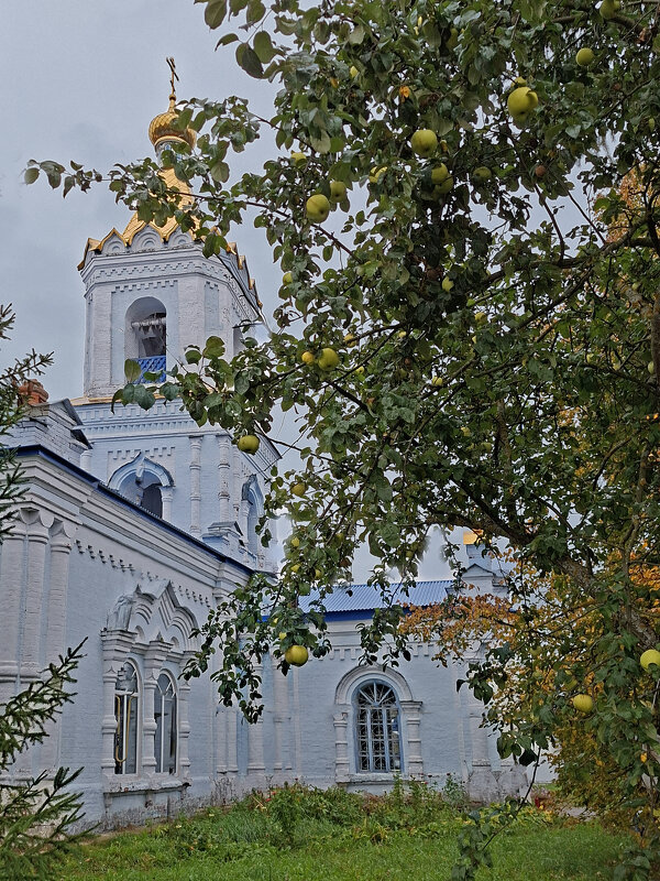 Храм Покрова Пресвятой Богородицы - ИРЭН@ . Храм Покрова Пресвятой Богородицы - ИРЭН@ .